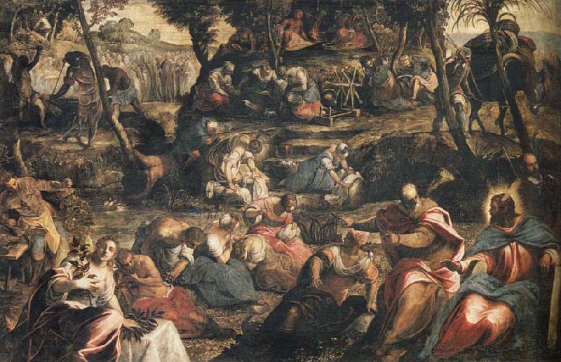 Jacopo Tintoretto Gathering of Manna France oil painting art